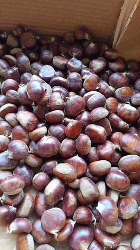 Castagne calabresi 9kg - castagne,