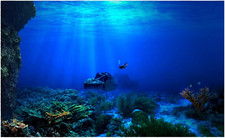 Adesivo per Sfondo Acquario