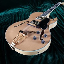 Hollow Body Byrdland Jazz