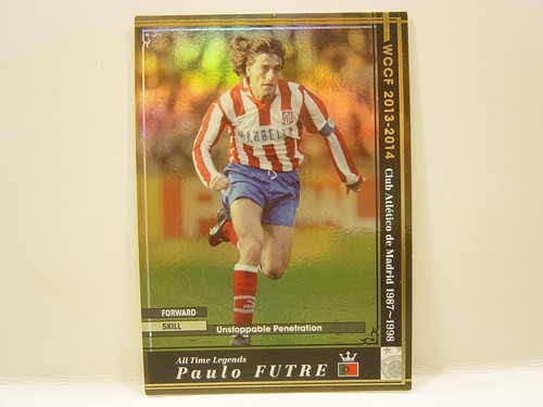 Panini wccf 2013 - panini,