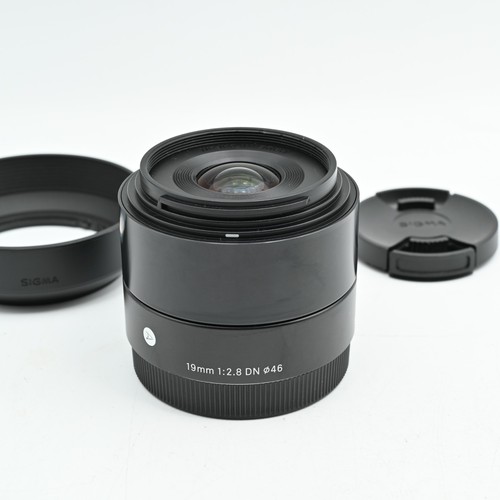 Sigma 19mm art lens - art,