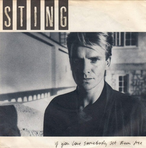 Sting you love - -, somebody