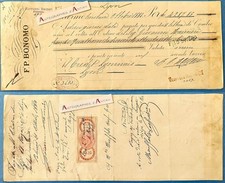 ● BRONOMO Palermo 1884