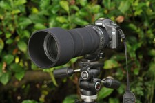 Sigma 150 600 f5 6.3 Dg Dn