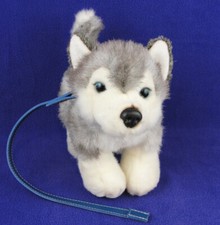 Woolworths Siberian Husky