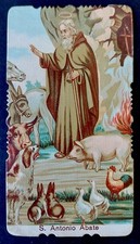SANTINO S. ANTONIO ABATE PROTETTORE DEGLI ANIMALI DOMESTICI @ SPLENDIDO @