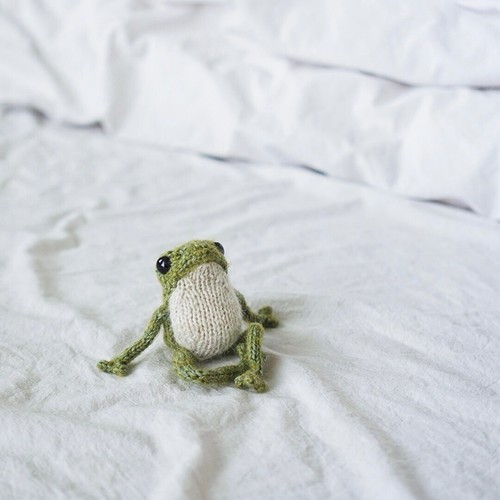 Knitting kit little frog - little, to