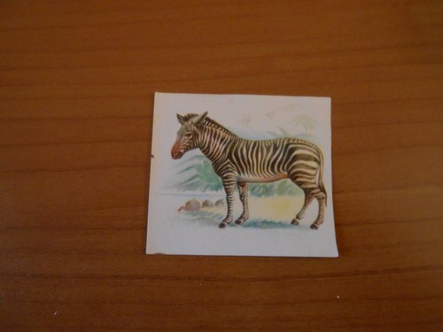 Figurina animali 215 - animali,