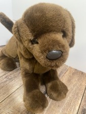 Douglas Chocolate Lab Labrador
