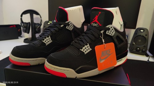 Jordan bred 2019 - jordan,