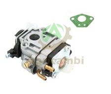 Carburatore guarnizion