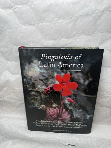 Pinguicula latin america - pinguicula,