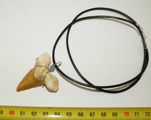 Collana sospensione dente da - sospensione,