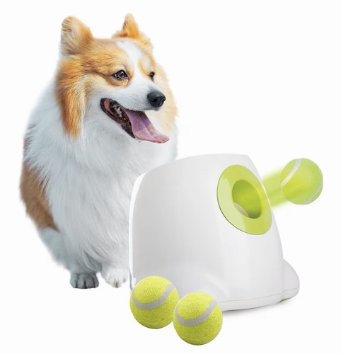 Tutto per paws - tutto, palline