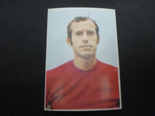 Vignando reggiana rare - ,