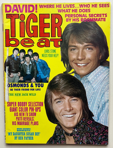 Tiger beat magazine - tiger, mar