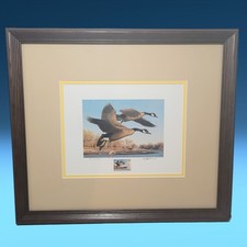 Francobollo vintage 1990 Colorado Waterfowl e stampa firmata incorniciata oche Robert Steiner