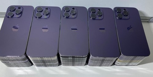 Custodia apple pro 100 - custodia,