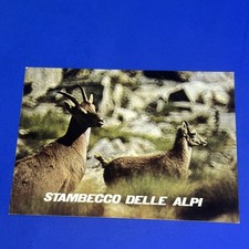 STAMBECCO DELLE ALPI CARTOLINA SOUVENIR