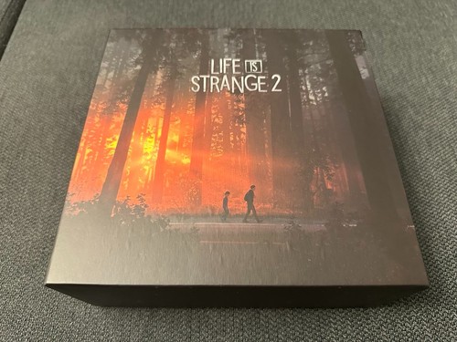 Life strange 2 - life, is
