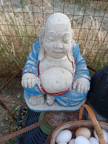 Buddha statua budda - statua,