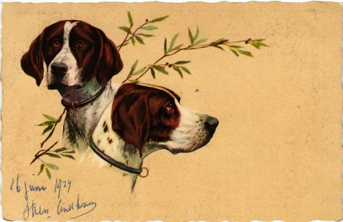 Cpa deutsch kurzhaar dogs - cpa, ak