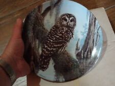 PIATTO CERAMICA artistica