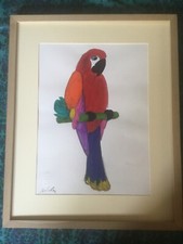 MARCO LODOLA - pappagallo