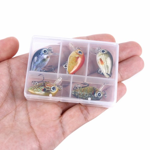 Scatola 1 5 g set - g,