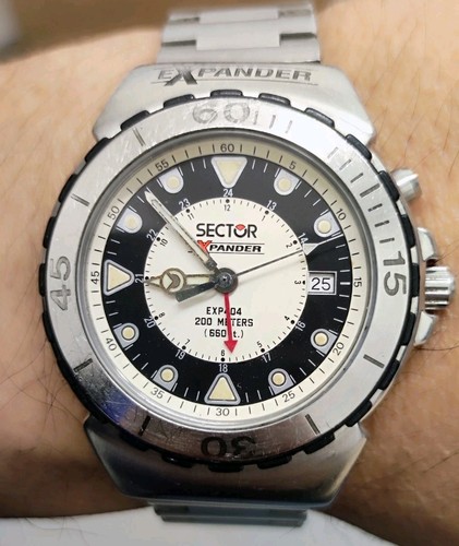 Orologio sector - 🐻‍❄️orologio,