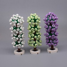 Pianta Albero di Pino Abete