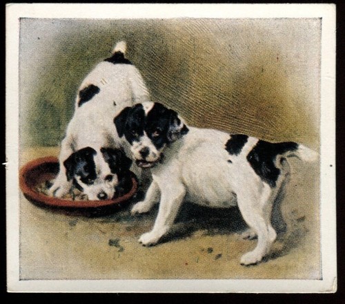 Tobacco card godfrey - card,,