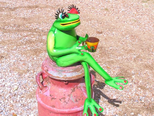 Rana caffè artistica - rana,