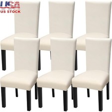 Coprisedia da Pranzo