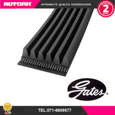 6PK1183 Cinghia Poly-V