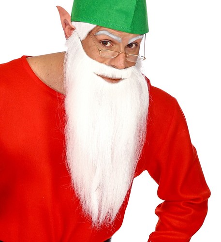 Barba multicaratteriale lunga - barba,