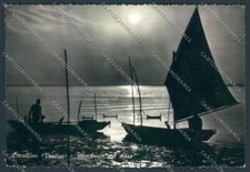 Venezia Cavallino Foto FG