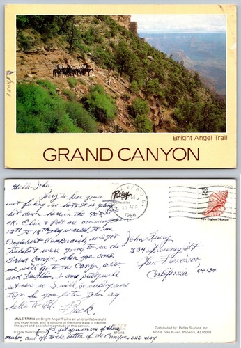 Cartolina grand canyon bright - cartolina,