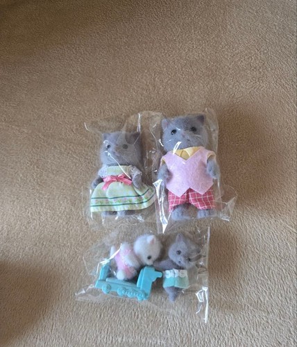 Famiglia gatti persiani - famiglia, di