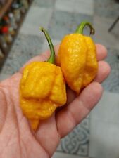 Trinidad Moruga Scorpion Peach Peperoncino - 5+ semi - cereali - semi - Ch 233