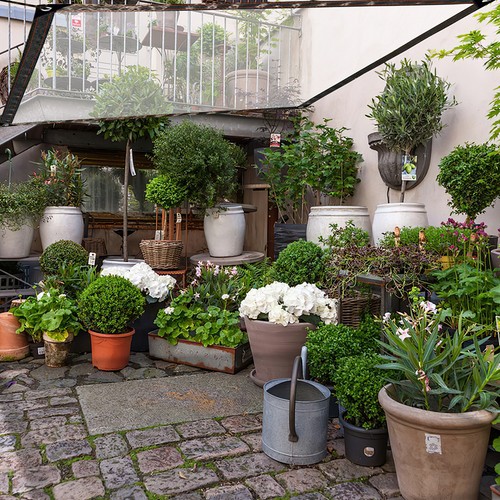 Telo trasparente impermeabile - trasparente,