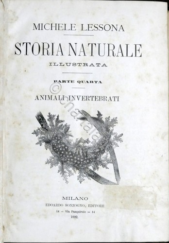 Lessona storia naturale - m.,