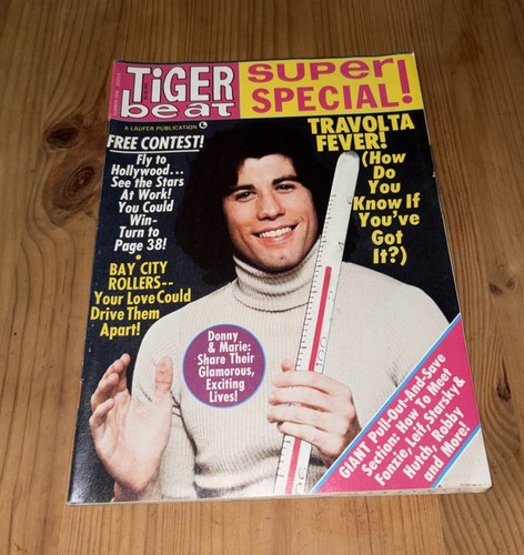 Tiger beat magazine - tiger, summer