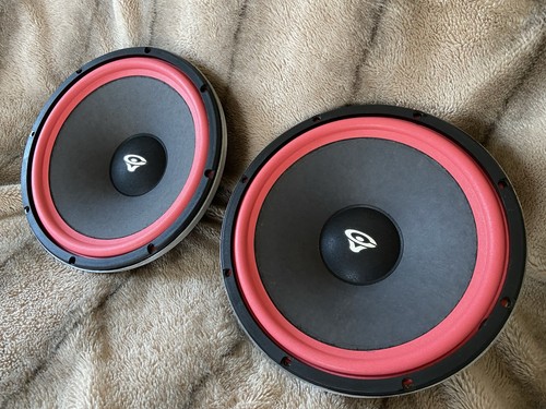 Woofer vintage cerwin vega - vega, vsw