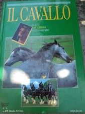 IL CAVALLO RAZZE ATTITUDINI