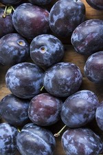 Pianta di susino: varietà