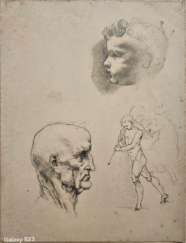 Ambito ghiglia studio - ambito, ghiglia,