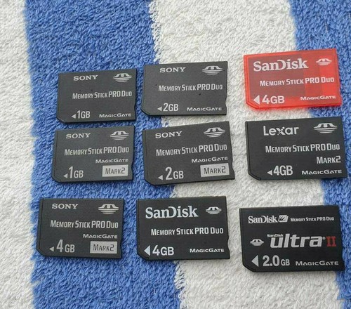 Memory stick pro duo scheda - pro, di