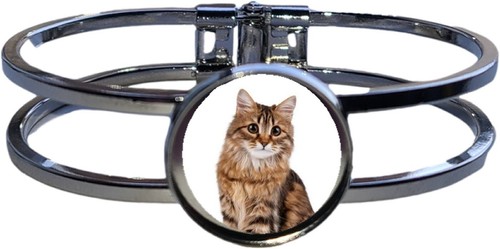 Siberian cat pet high - siberian,