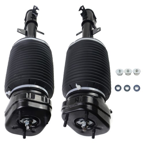 2pz ammortizzatori posteriori - 2pz,